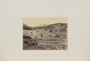 Un camping dans le désert du Sinaï