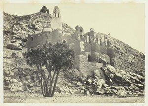 Palmier Doum et mosquée en ruine, Philæ - Francis Frith