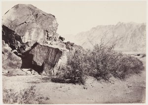 Pétroglyphes au Proche-Orient - Francis Frith