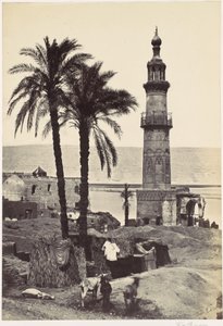 Vue de Girgeh - Francis Frith