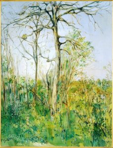 Paysage