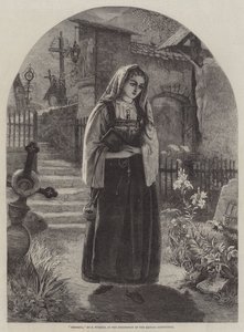 Teresina - Francis John Wyburd