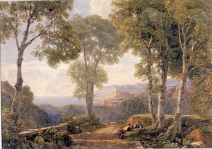 Paysage