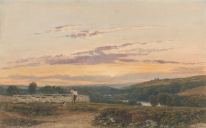 Le berger - Soir