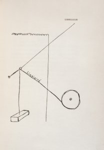 Libellule