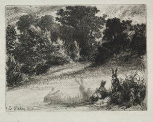Combe Bottom - Francis Seymour Haden