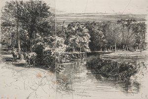 Rivière Dundrum et les deux ânes