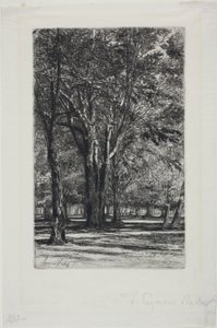 Jardins de Kensington, No. II (grande planche)