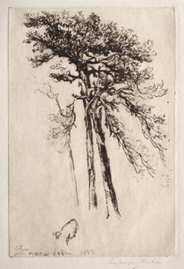 Le dernier arbre - Francis Seymour Haden