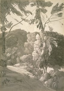 Paysage boisé (Scène à Indinowle) 1783