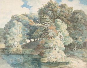 Arbres près du lac, Peamore Park, près d