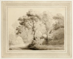 Paysage boisé