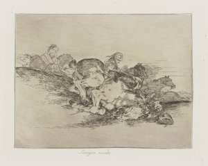 Cela arrive toujours, pl. 8 de la série Les désastres de la guerre