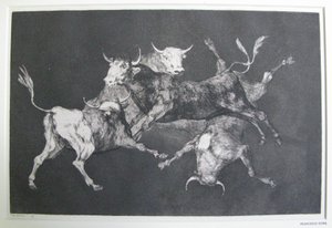 Disparate de tontos (Folie des fous) - Francisco Jose de Goya y Lucientes