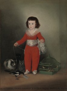 Don Manuel Osorio Manrique de Zuniga (1784-92) - Francisco de Goya