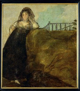 Dona Leocadia Zorrilla (peinture sur toile) - Francisco Jose de Goya y Lucientes