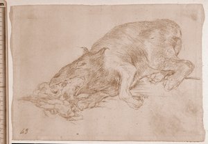 Les Désastres de la guerre : Monstre fier ! (dessin préparatoire) - Francisco de Goya