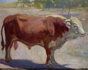 Le Taureau Marelo