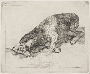 Une bête sauvage (81) - Francisco de Goya