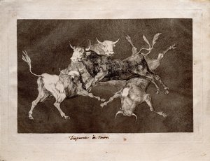 La folie des fous de la série Los Disparates