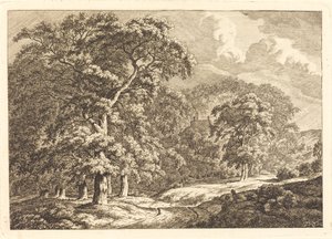 Forêt avec des voyageurs sur une route