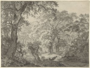 Paysage forestier