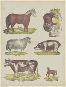 Animaux