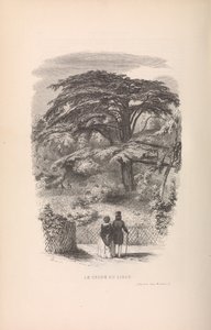 Le Jardin des Plantes, Descriptions et Moeurs des Mammifères, 1842 - Francois Boitard