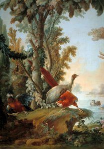 Hérons et perroquets - François Boucher