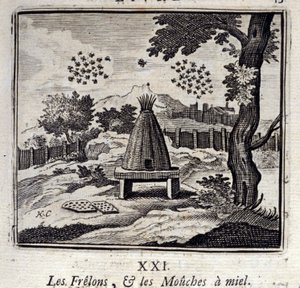 Les Frelons et les Mouches à miel - Francois Chauveau