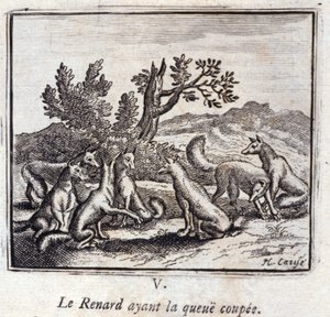 Illustration des 