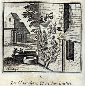 La Chauve-souris et les deux Belettes