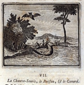 La chauve-souris, le buisson et le canard - Francois Chauveau