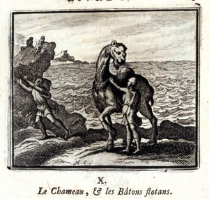 Le chameau et les bâtons flottants - Francois Chauveau