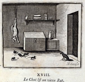 Le Chat et un vieux rat