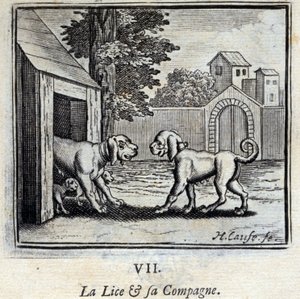 La Puce et sa Compagne