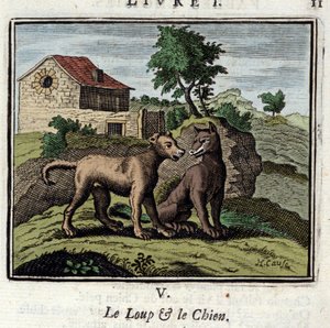 Le Loup et le Chien. Fables de Jean de La Fontaine (1621-1695). Illustration de François Chauveau (1613-1676). Édition de 1728