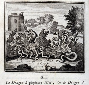 Le Dragon à plusieurs têtes et le Dragon à plusieurs queues