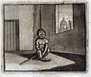 Le Singe
