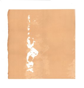 Derviche tourneur, 2015 - Francois Domain