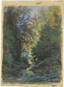 Un ruisseau à travers une forêt dense