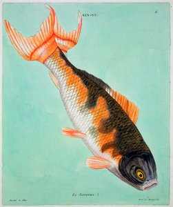 Le Noriroux, 18ème siècle - Francois Nicolas Martinet