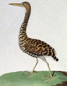 Honneur - Francois Nicolas Martinet