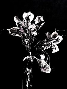  - Françoise Wattré
