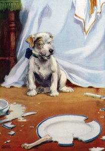 Chien avec une assiette cassée