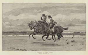 Un galop sur le sable