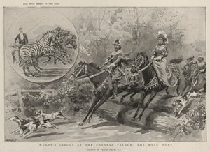 Le cirque de Wulff au Crystal Palace, la chasse au sanglier