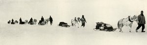 Poneys en marche, 1911, 1913