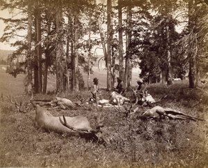 Chasseurs d