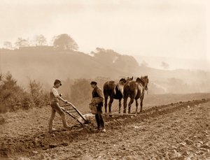 Agriculteurs labourant un champ à Lealholm Hall Farm, Whitby, vers 1889
